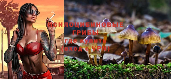 амф Переславль-Залесский