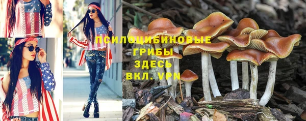 трава Абаза