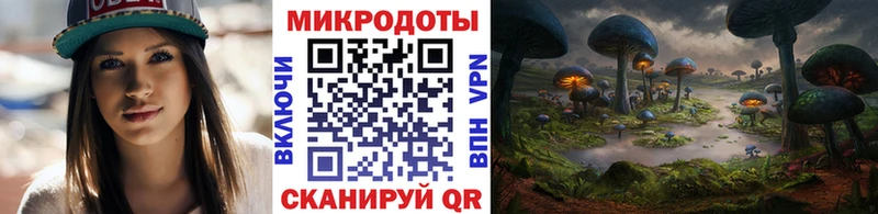 купить сайты Чита Псилоцибиновые грибы мухоморы