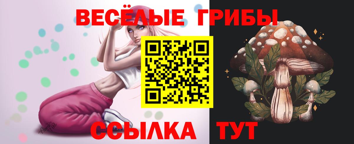 Псилоцибиновые грибы мухоморы Чита