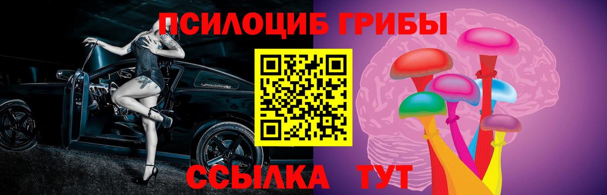 Псилоцибиновые грибы мицелий  Вход с VPN  Чита 